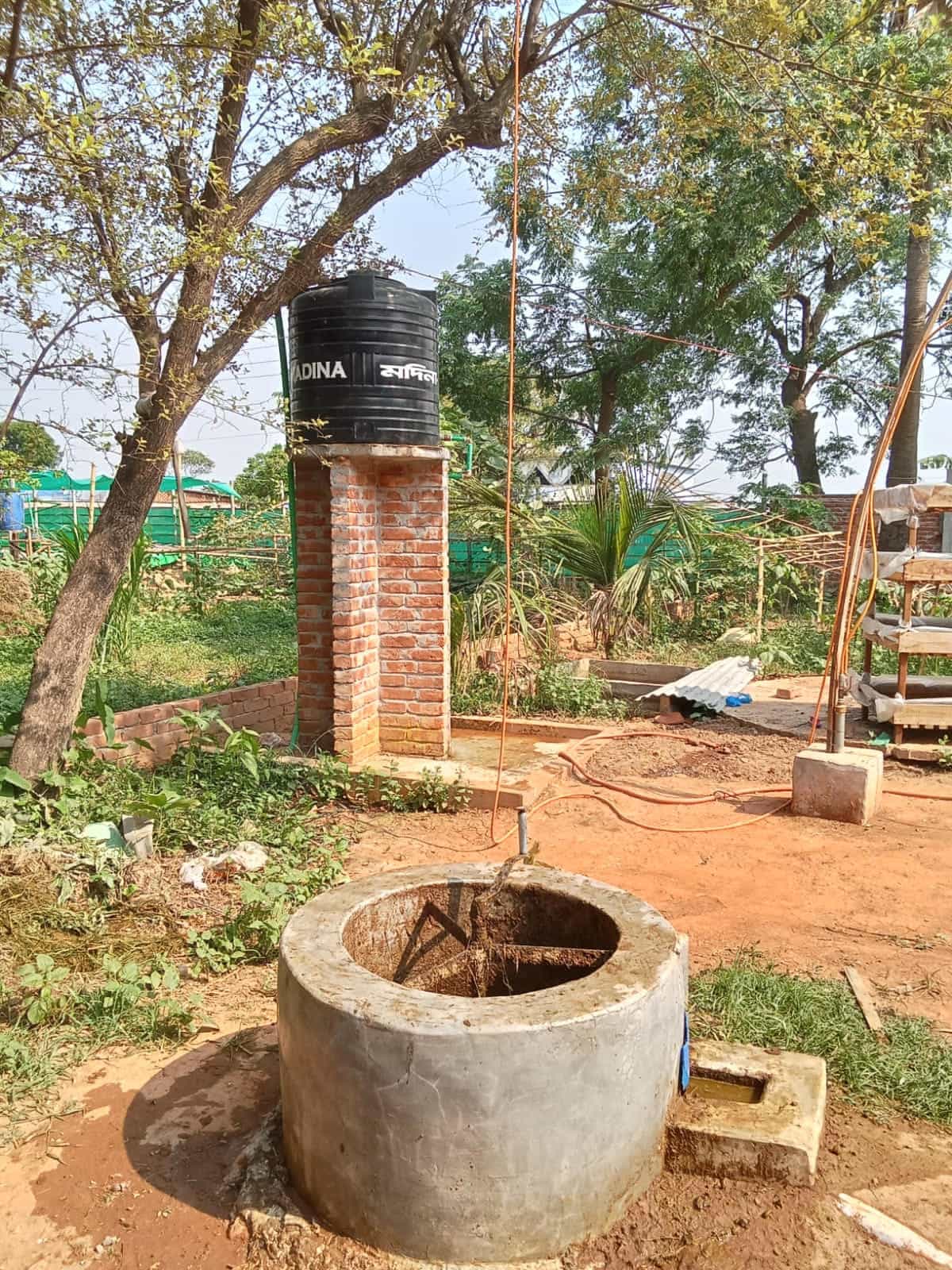 Biogas for cleaner energy